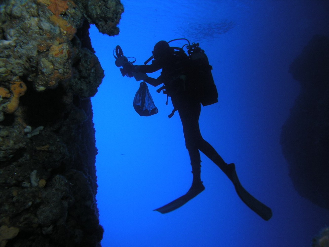 Terenski istraživački rad