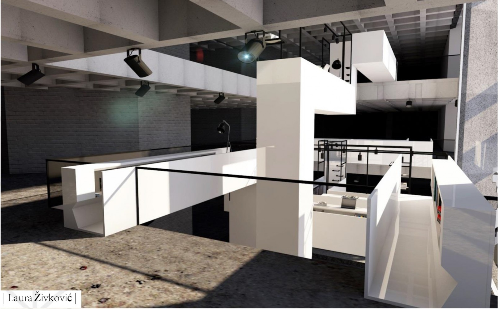 Univerzitet Crne Gore