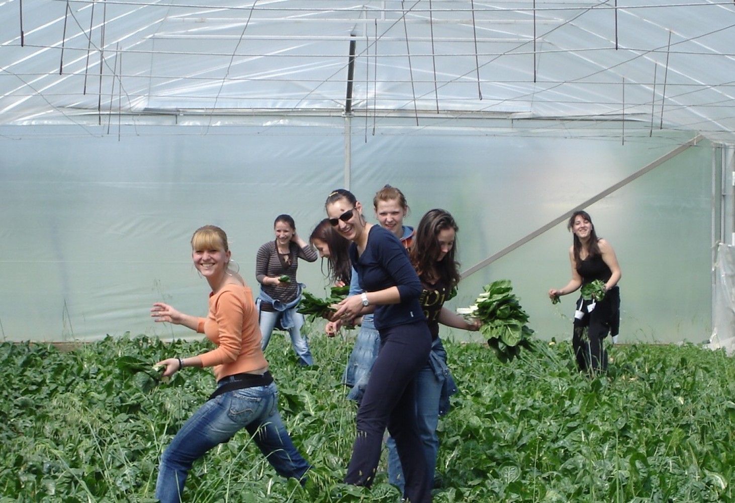 Univerzitet Crne Gore