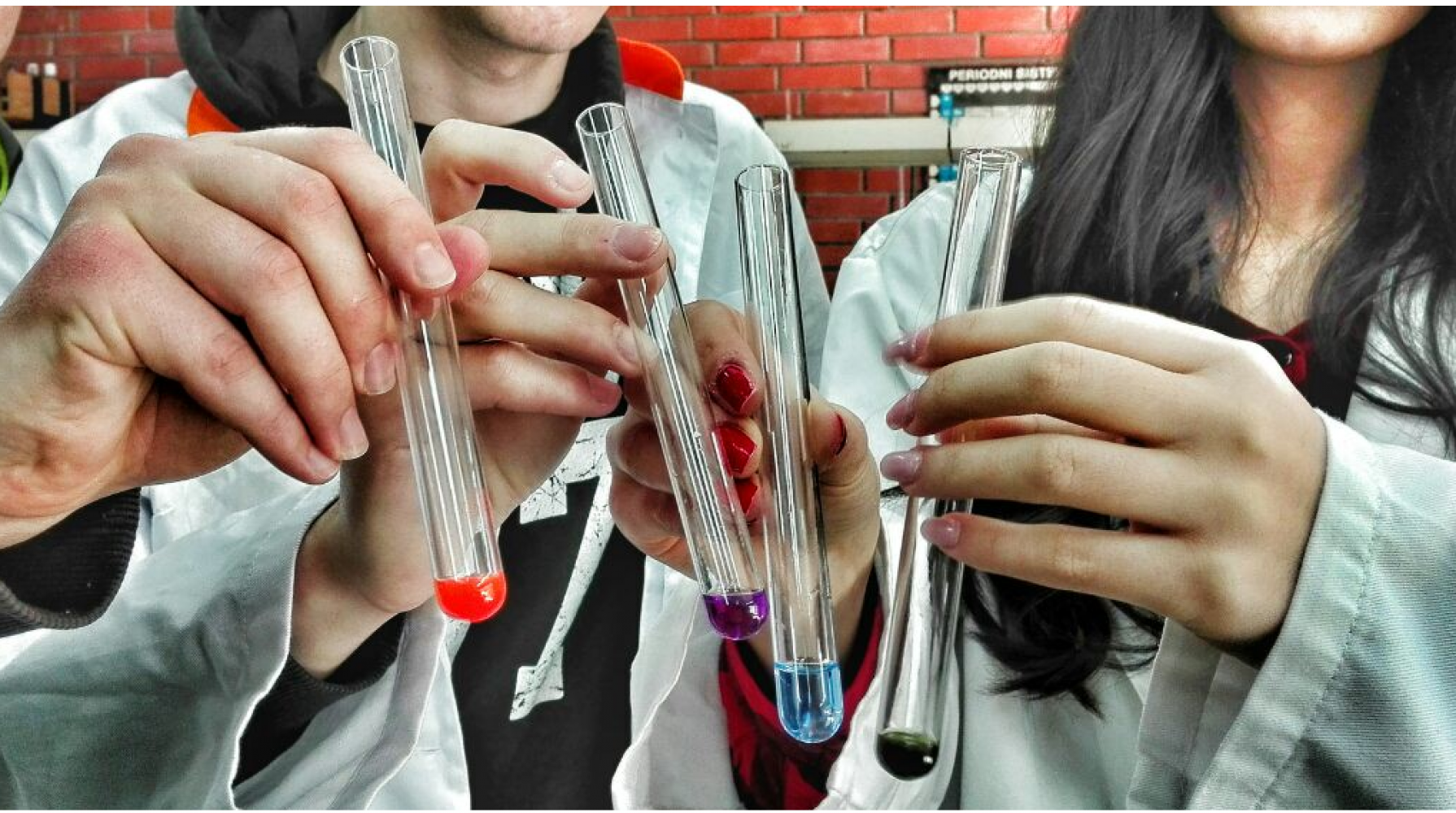 Univerzitet Crne Gore