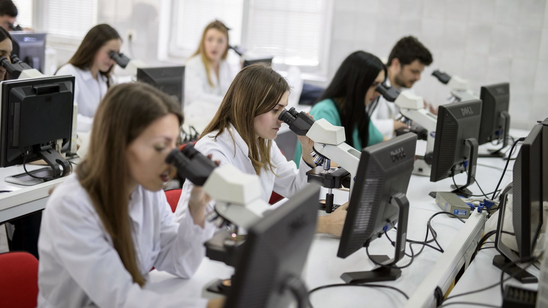 Obezbjeđenje kvaliteta, a posebno u okviru doktorskih studija koje predstavljaju krunu obrazovanja na univerzitetu, zasniva se na jasnim standardima i međunarodnoj uporedivosti.