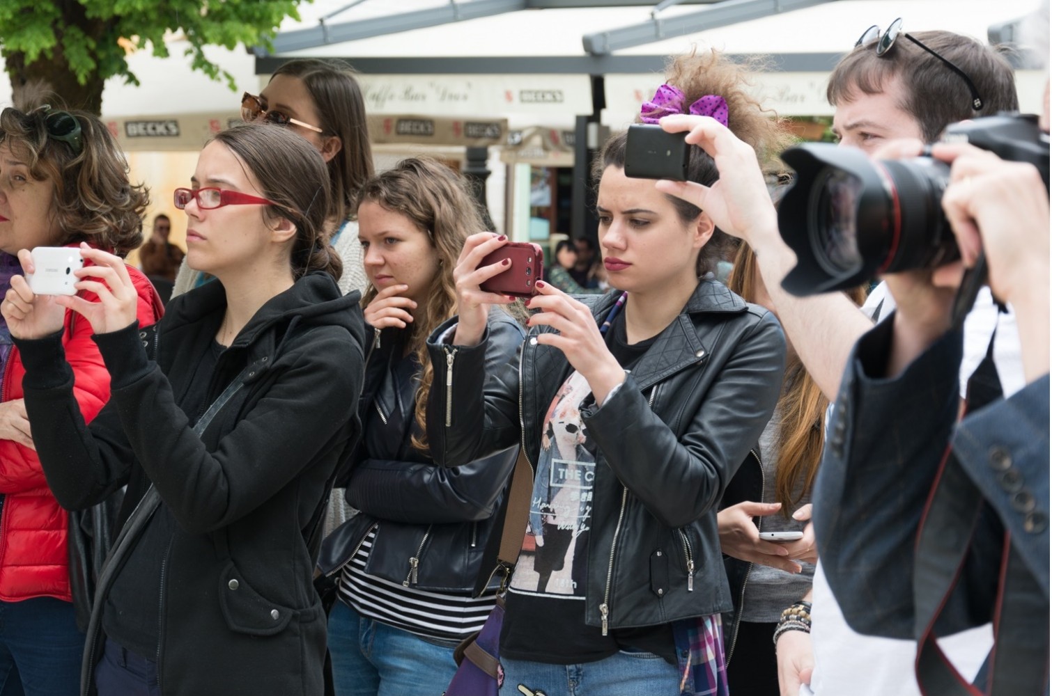 Univerzitet Crne Gore