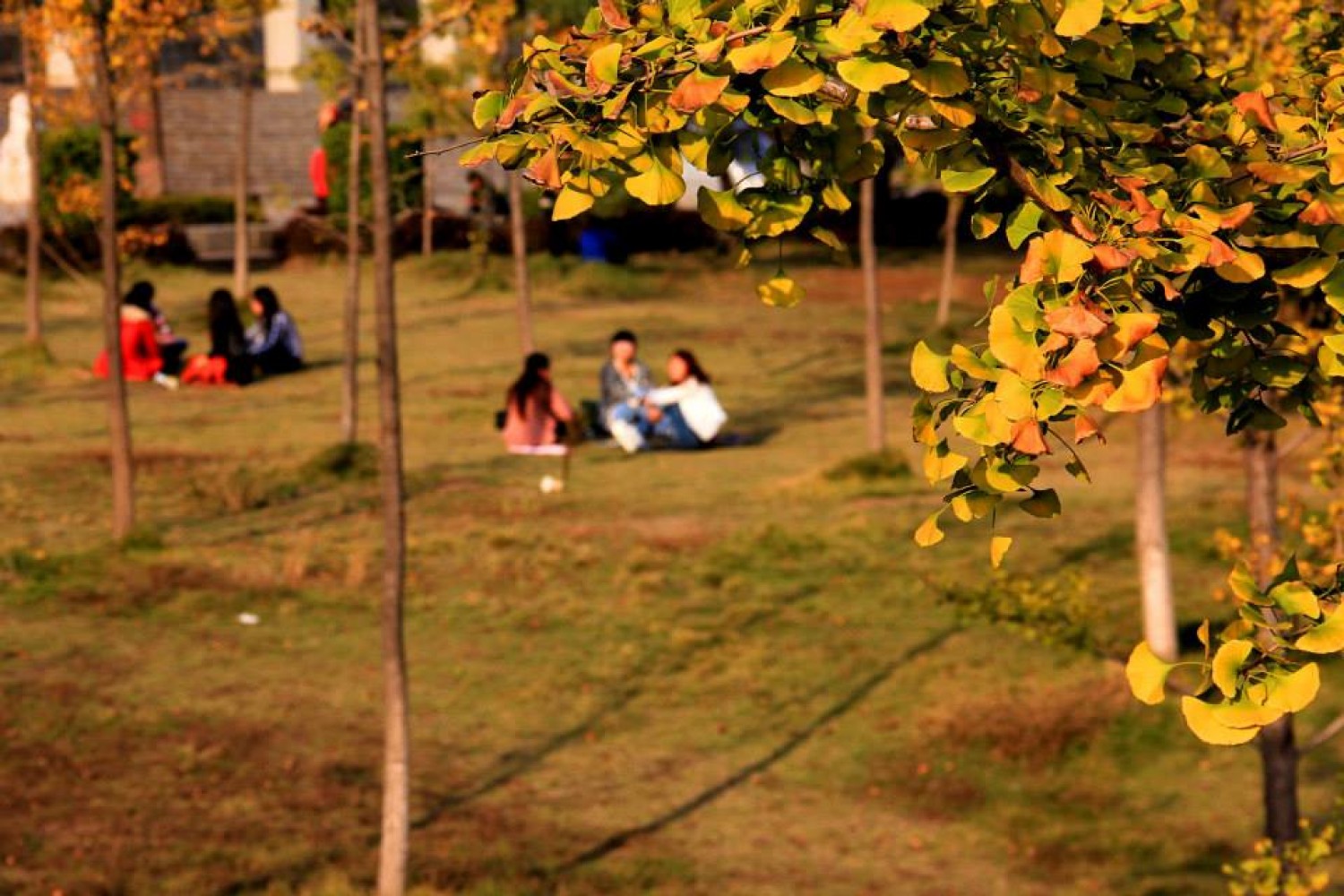 Stipendije    saznaj više...