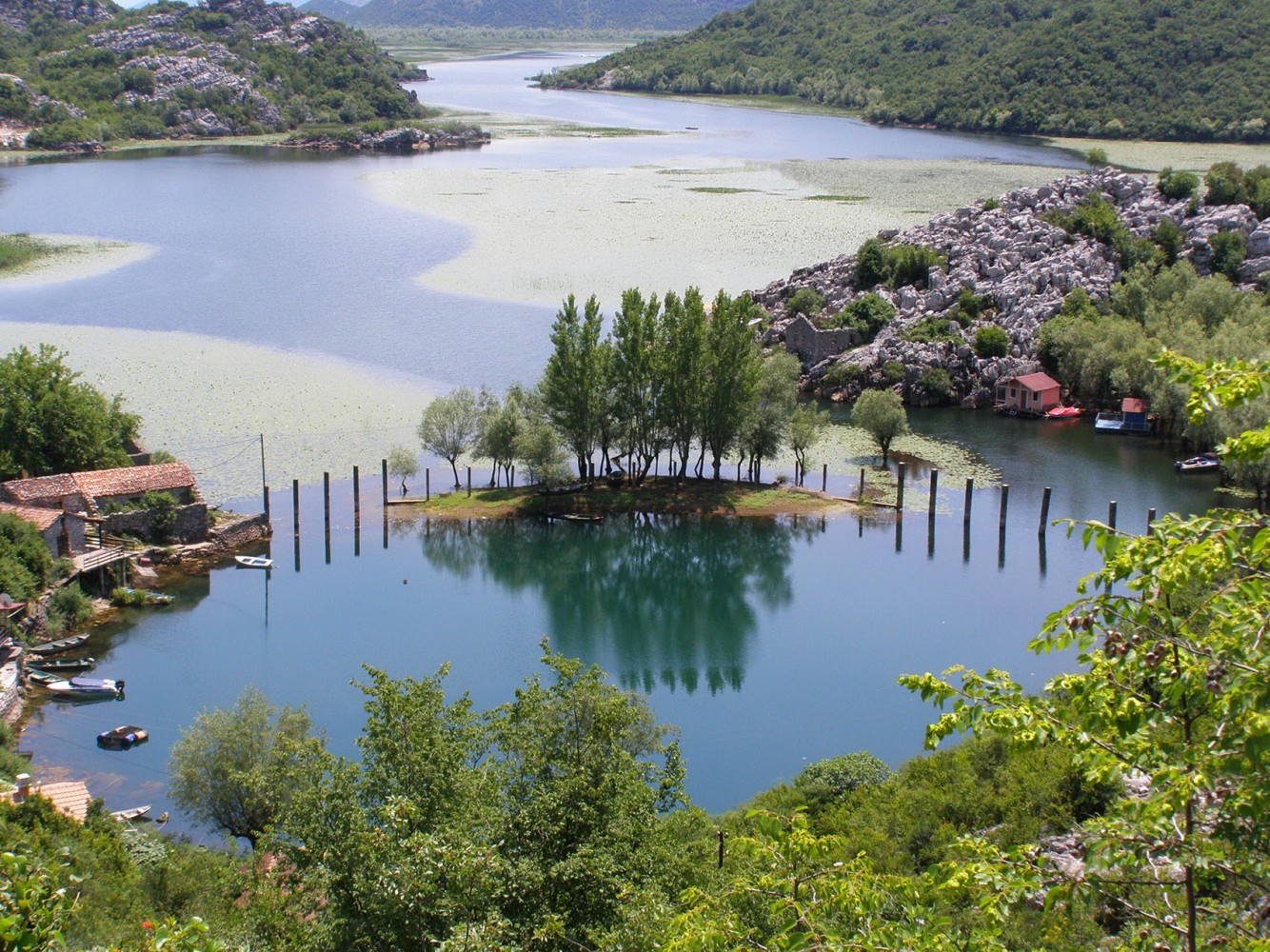 Publikacije    Detaljnije..