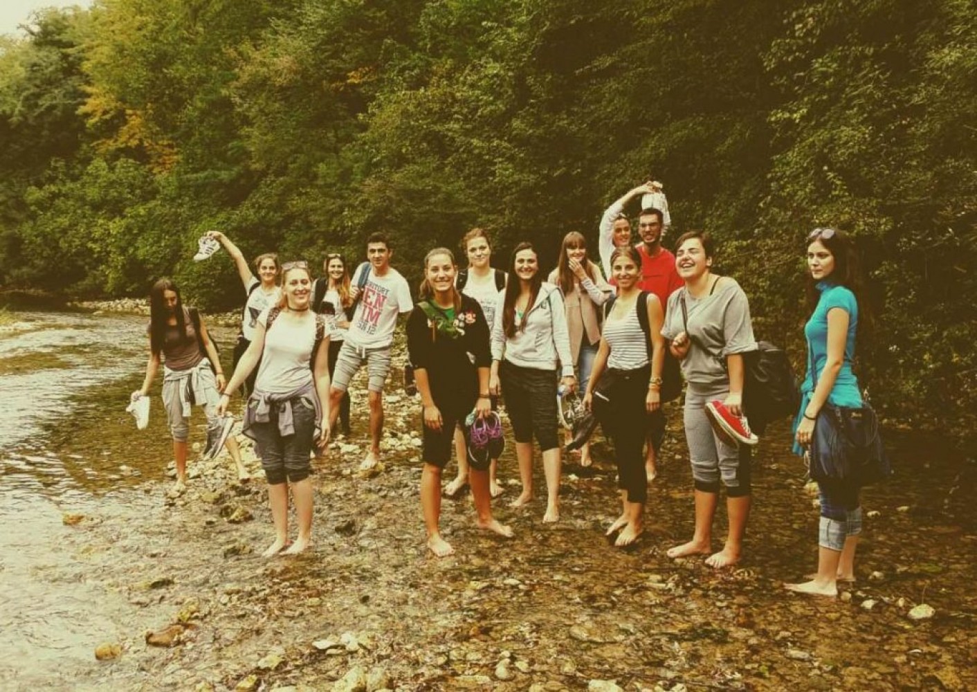 Univerzitet Crne Gore