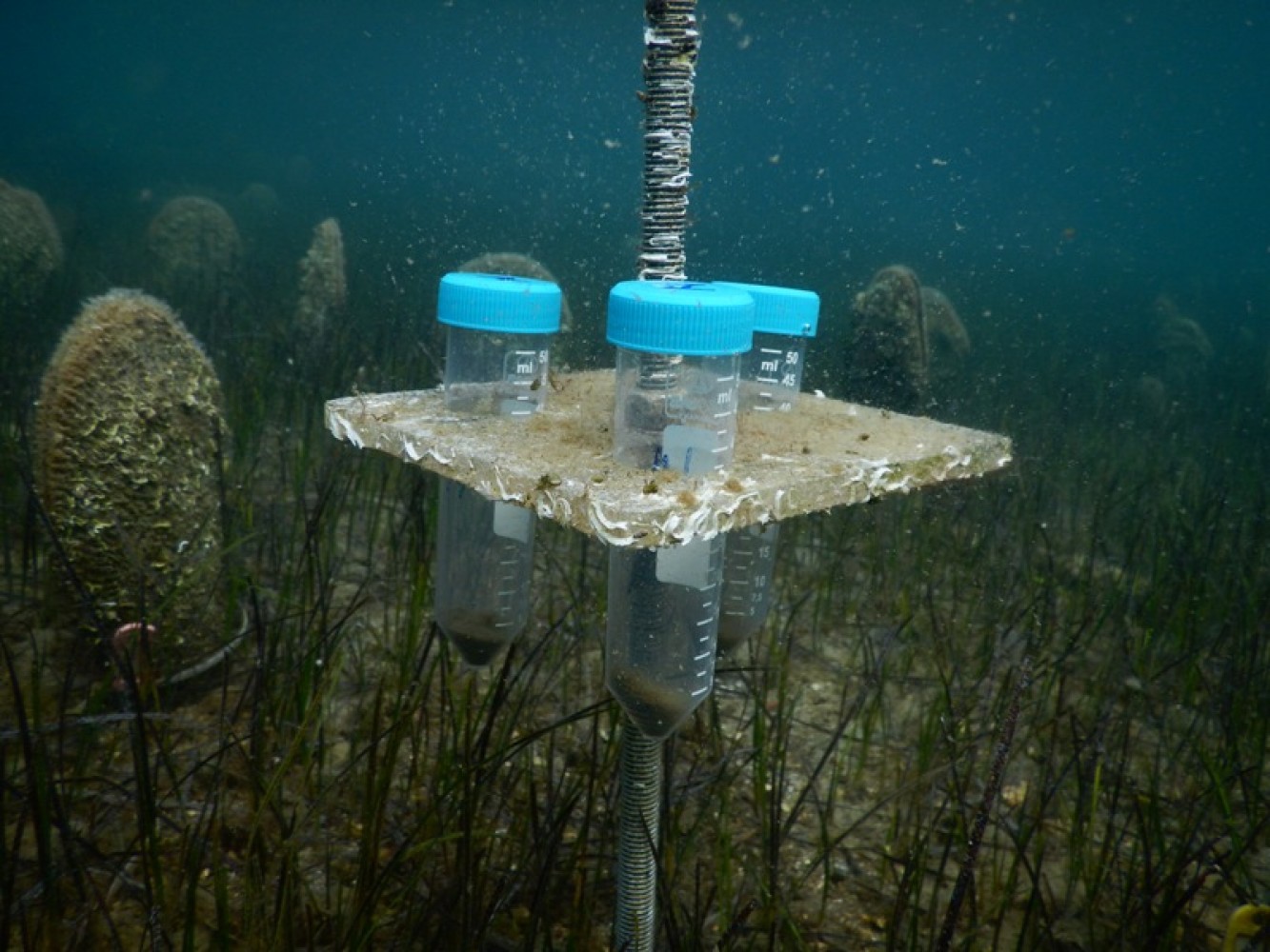 Projekat PinnaSPOT_resuspenzija sedimenta   o projektu PinnaSpot