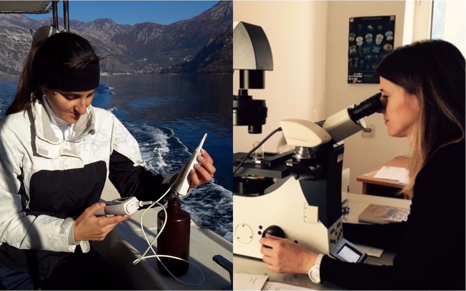 Terenski i laboratorijski rad