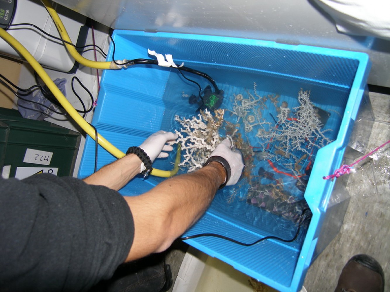 Transport uzoraka nekada nije jednostavan