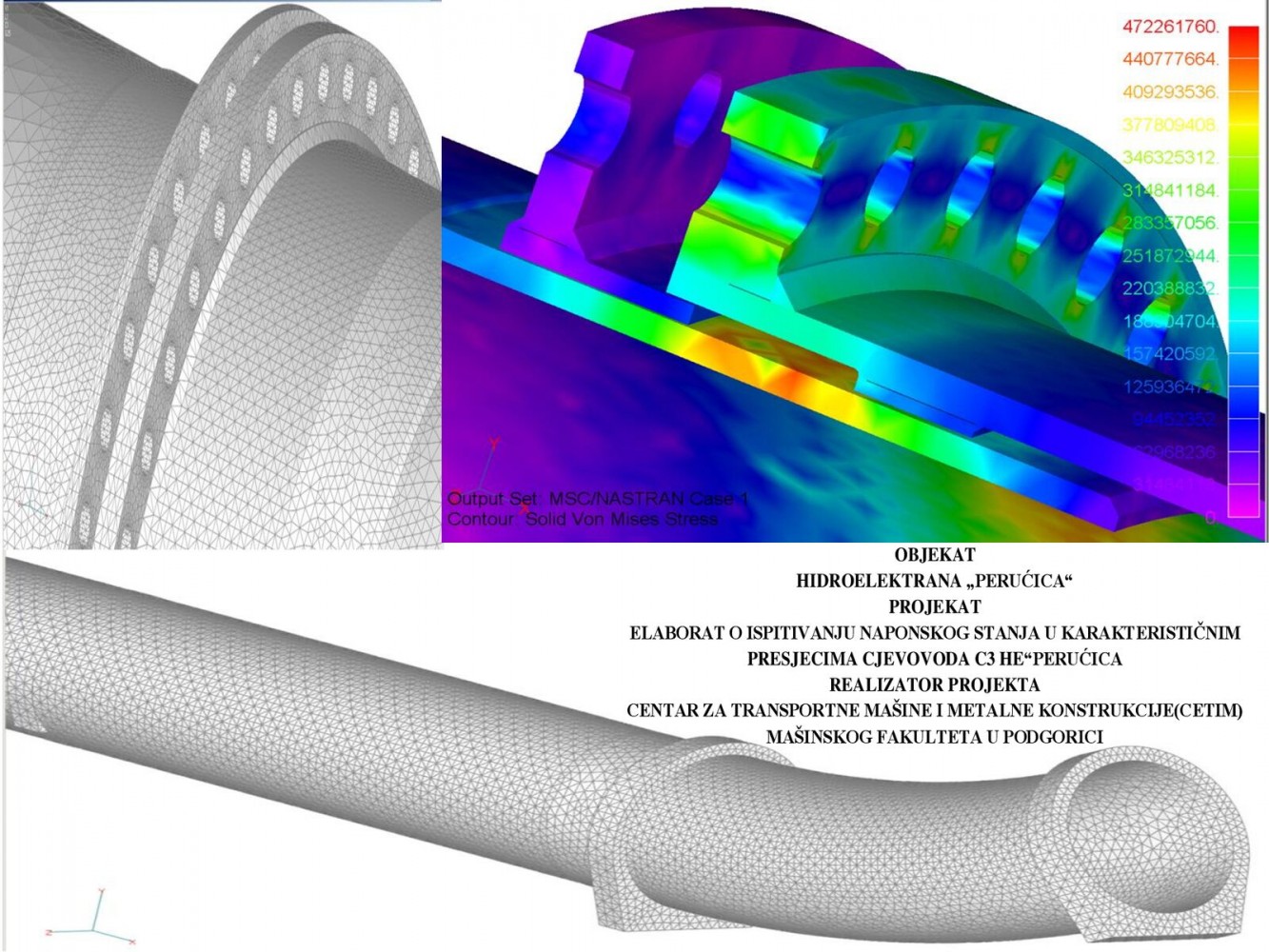 Univerzitet Crne Gore