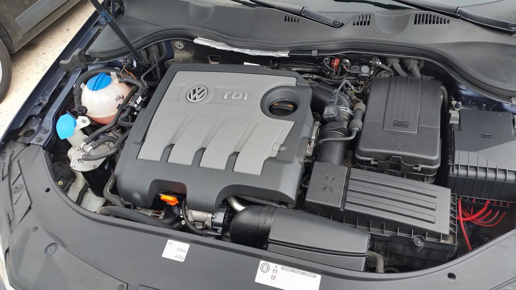 Univerzitet Crne Gore