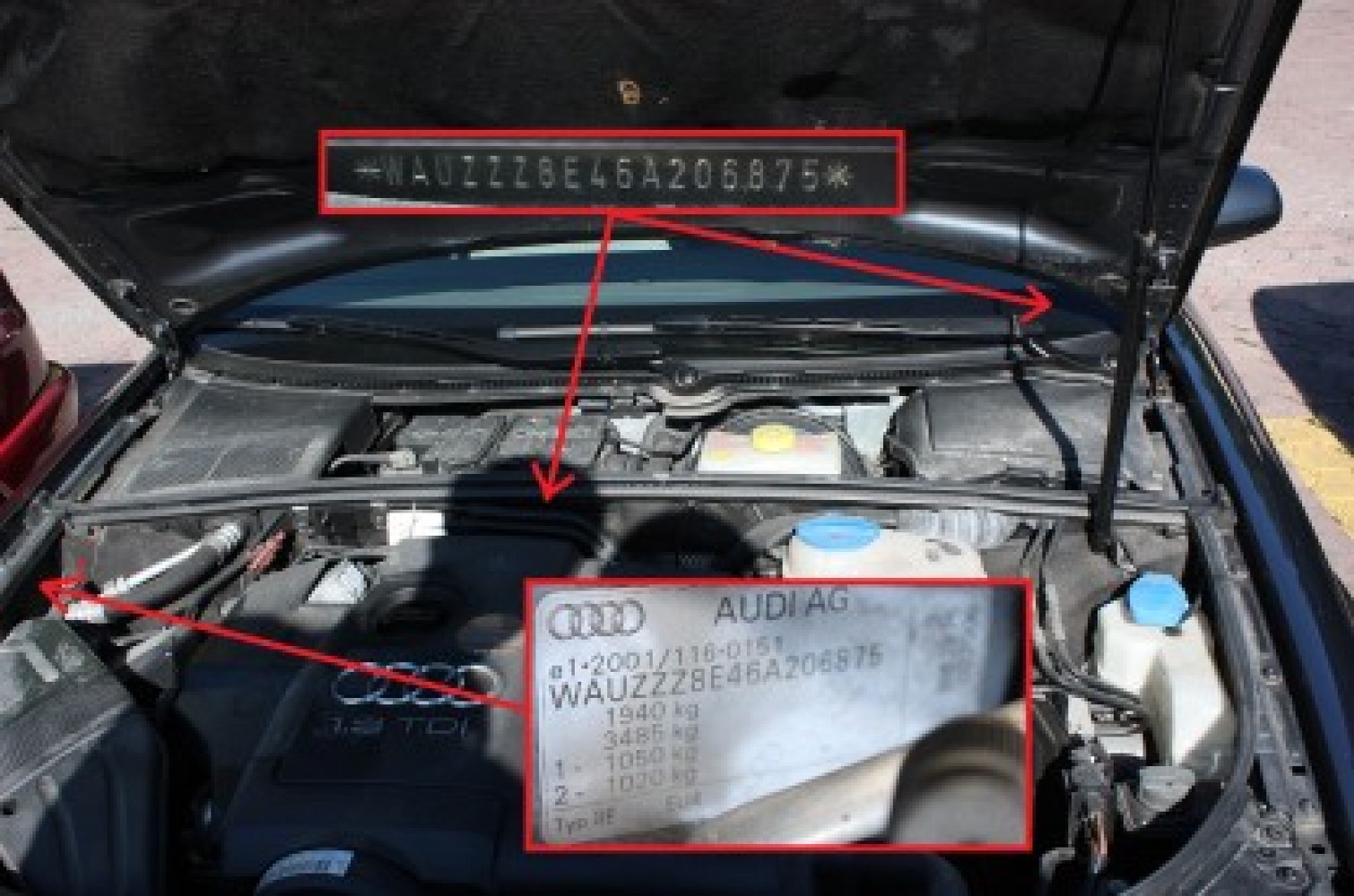 Univerzitet Crne Gore