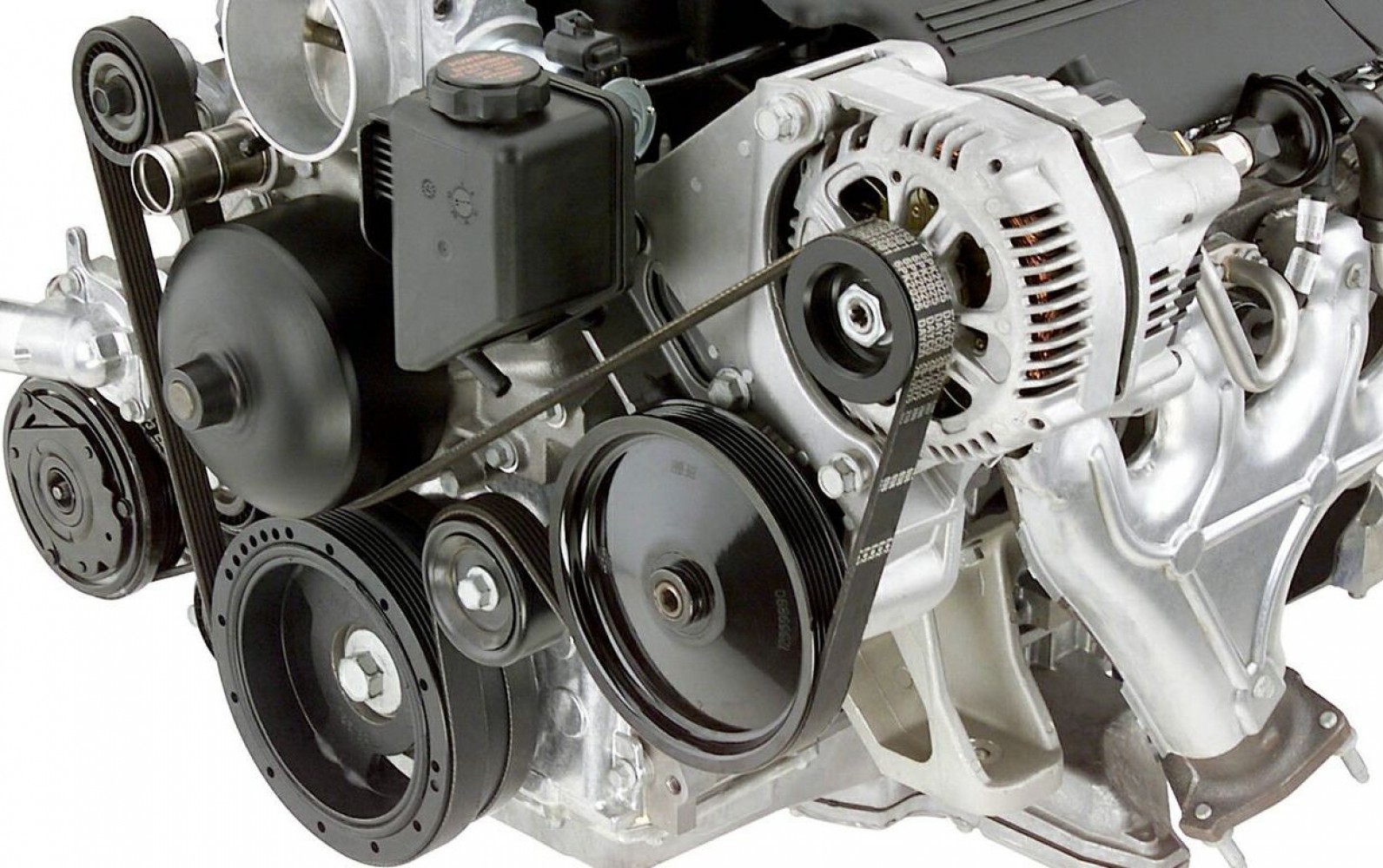 Univerzitet Crne Gore